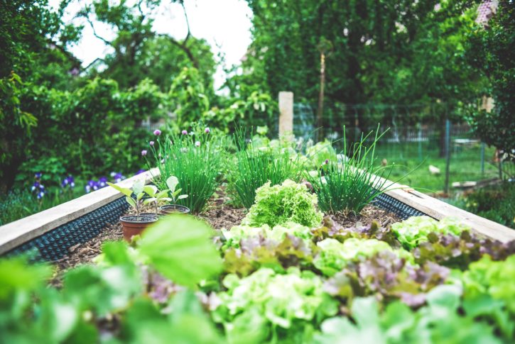 How Does Your Planned Giving Garden Grow? 1